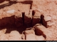 Photo précédente de Saint-Pierre-du-Bosguérard vestiges d'un four de tuiliers époque Gallo- Romaine