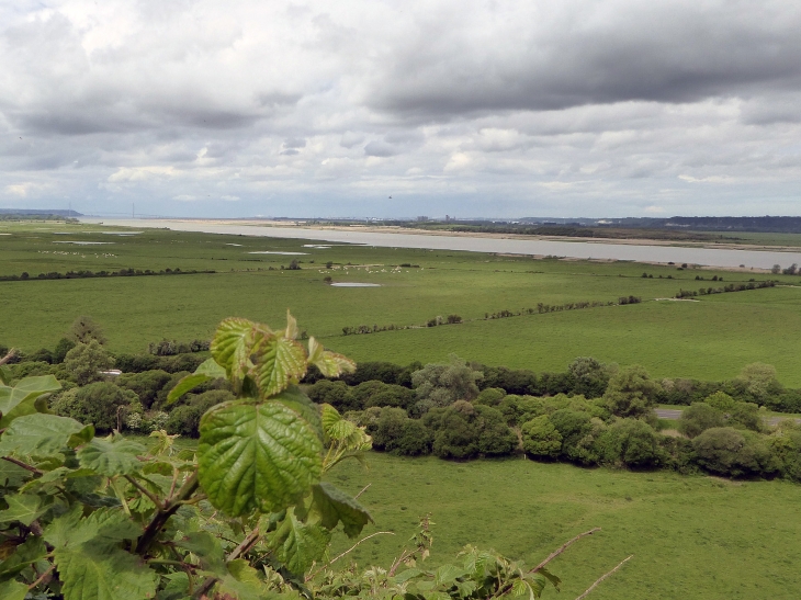 La vue sur l'estuaire - Saint-Samson-de-la-Roque