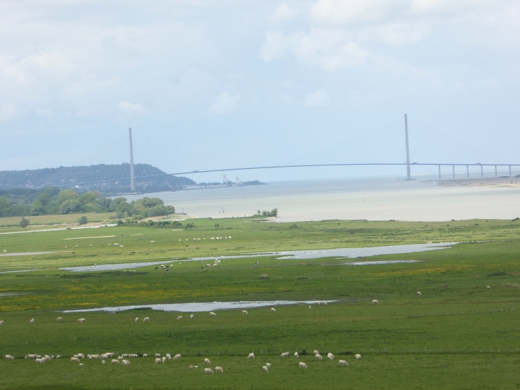 Vue sur le pont de Normandie - Saint-Samson-de-la-Roque