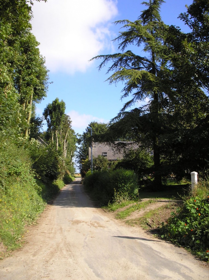 Chemin vers la clairiere - Ancretteville-sur-Mer