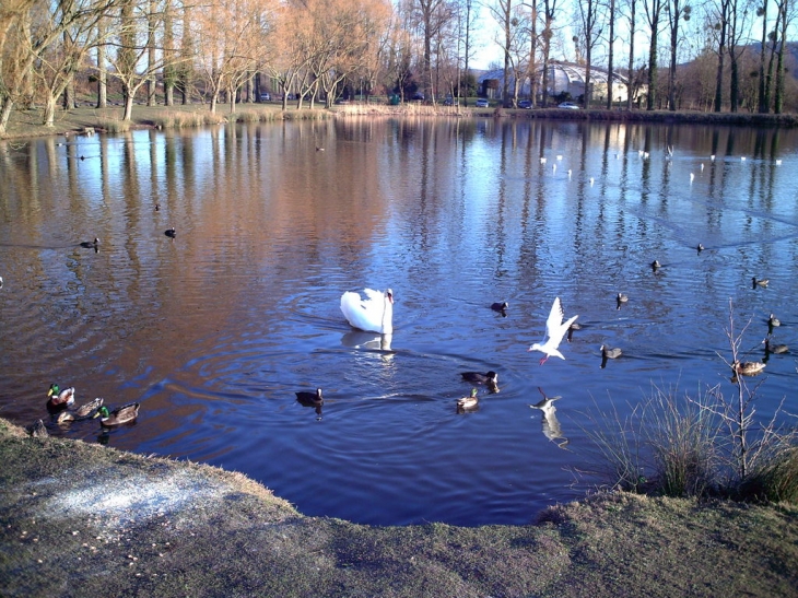 Etang a arques la bataille - Arques-la-Bataille