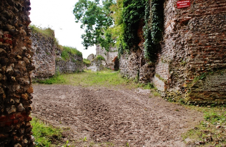 Ruines du Château d'Arques - Arques-la-Bataille