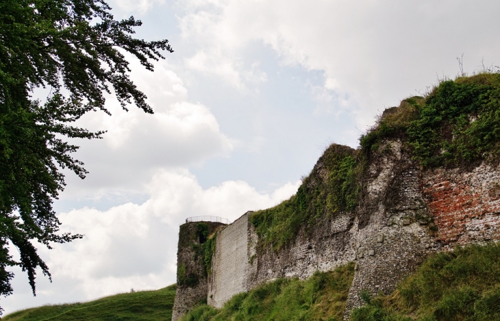 Ruines du Château d'Arques - Arques-la-Bataille