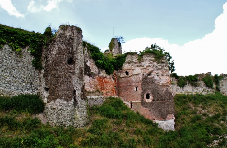 Ruines du Château d'Arques - Arques-la-Bataille