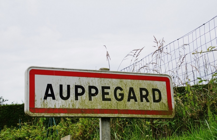  - Auppegard