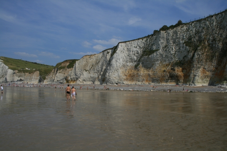 Plage de BERNEVAL SUR MER -marée basse - Berneval-le-Grand