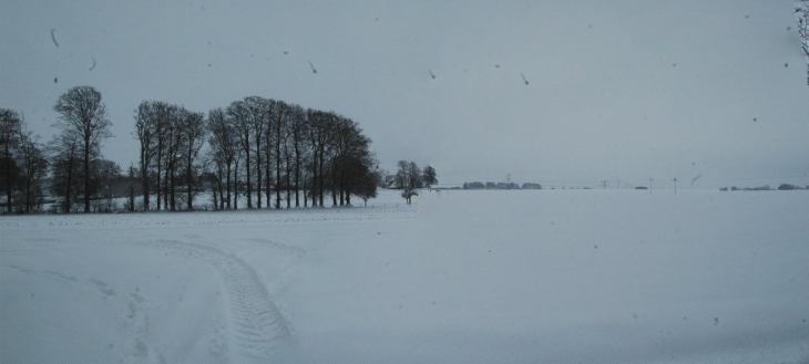 Panorama des plaines - Biville-la-Baignarde