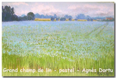 Champs de lin à Bosc le Hard - pastel Agnès Dortu. - Bosc-le-Hard