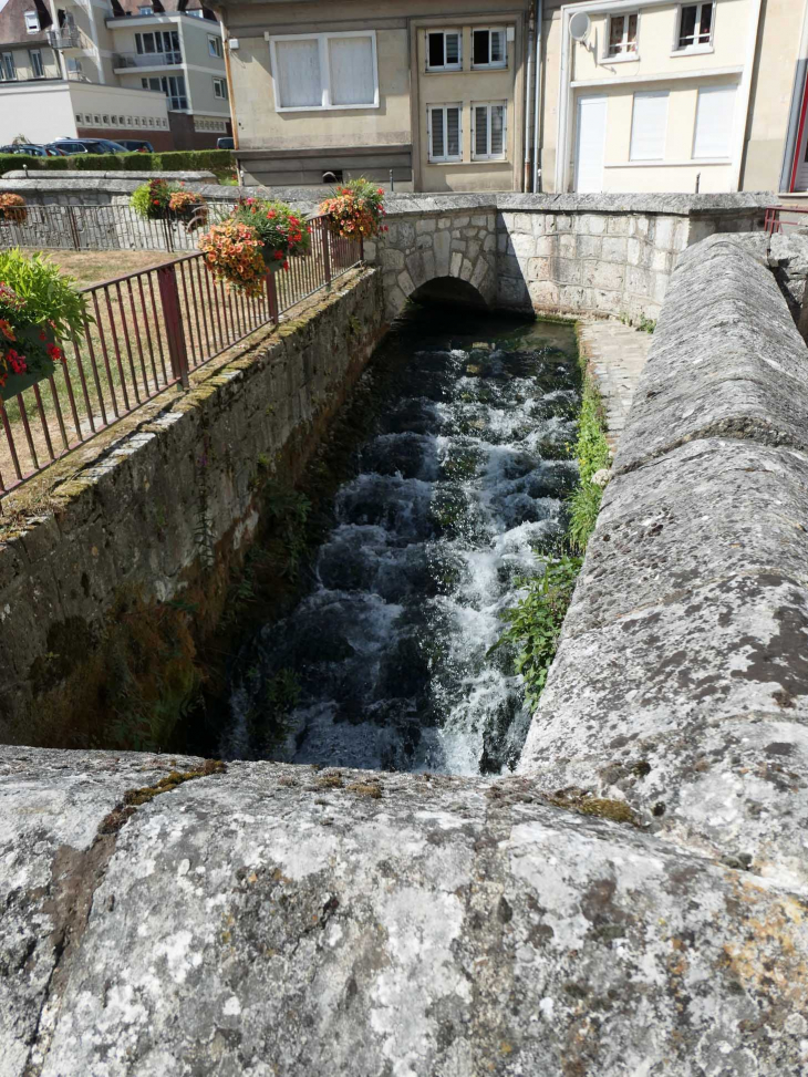 La rivière Sainte Gertrude sous le macadam - Caudebec-en-Caux