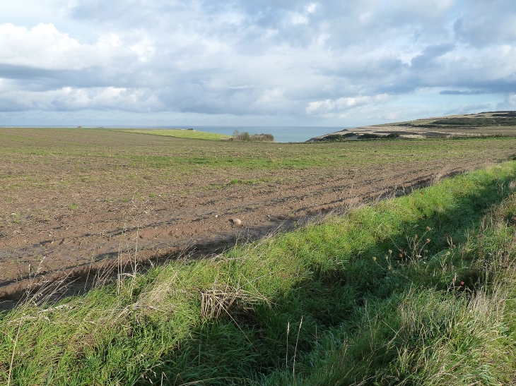 La plaine du Mesnil - Criel-sur-Mer