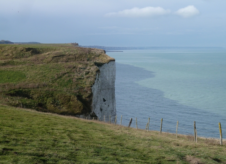 Sur les falaises - Criel-sur-Mer