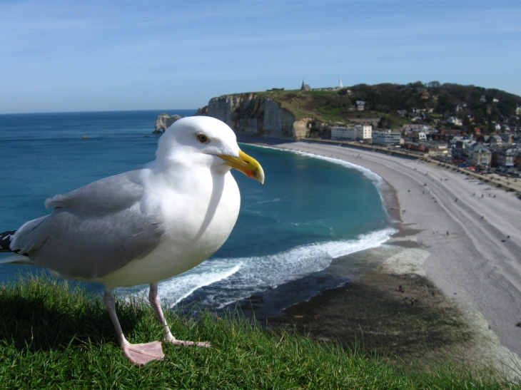 Etretat - Étretat