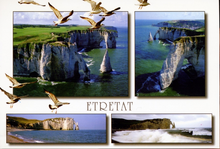 Les Falaises et la Plage(carte postale). - Étretat