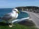 Photo précédente de Étretat Etretat