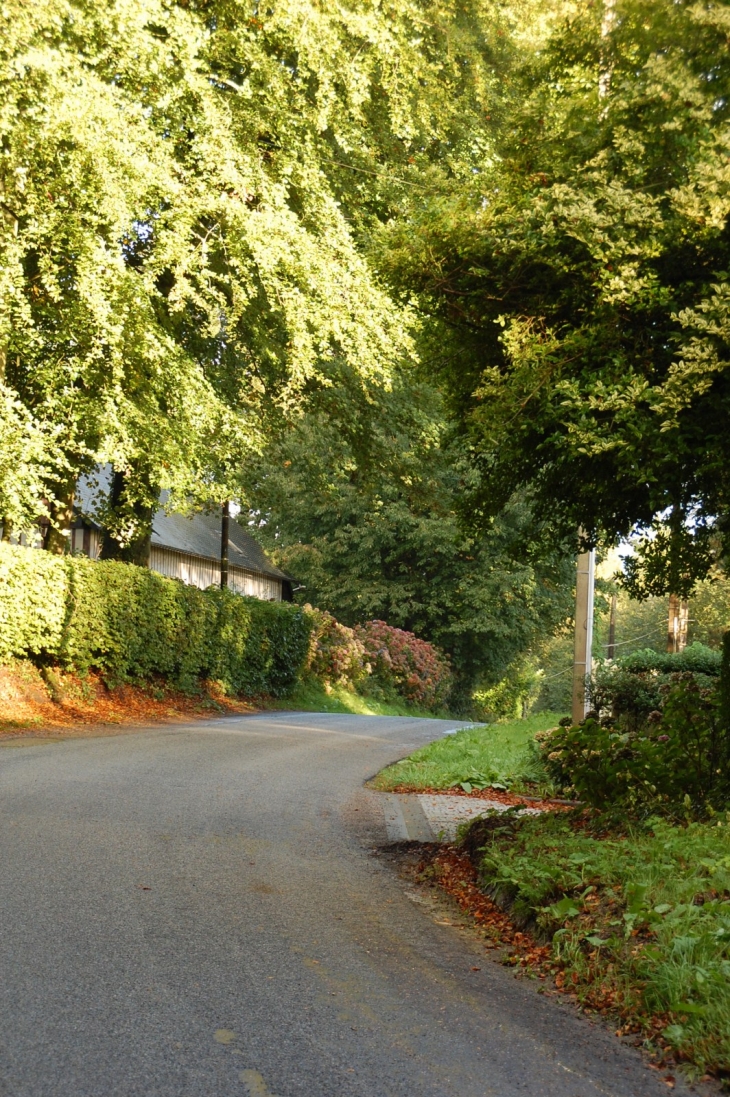 Route de saint romain - Graimbouville