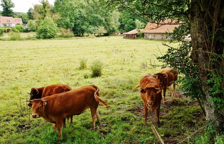 Le Village - Hermanville