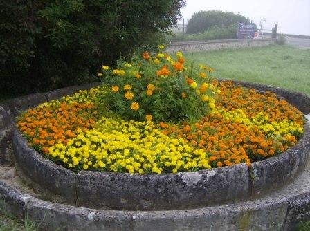 Heurteauville fleurs