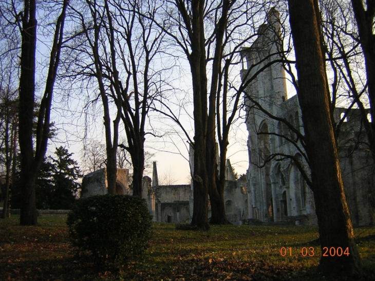 Ruines et arbres du parc - Jumièges