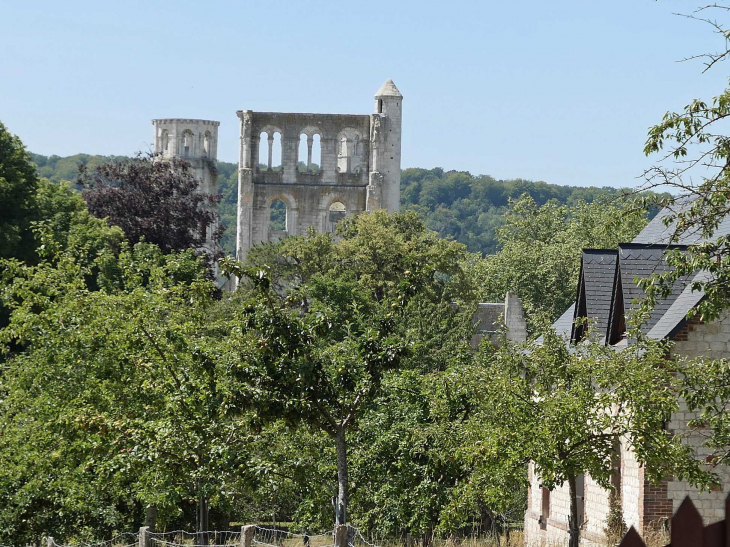 Vue sur les tours de l(abbatiale - Jumièges