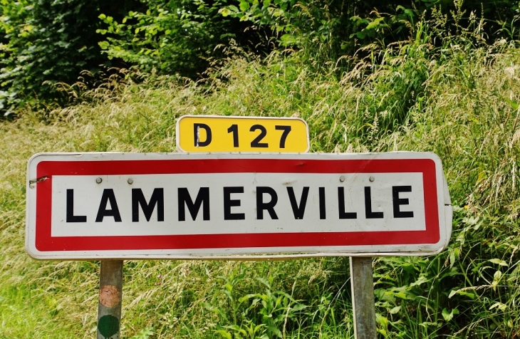  - Lammerville