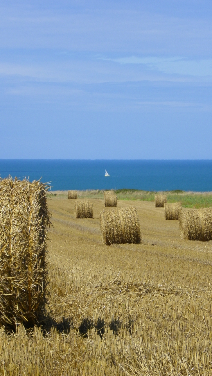 La mer - Le Bourg-Dun