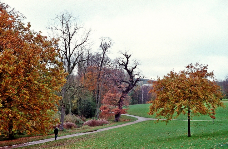 Three trees - Le Havre