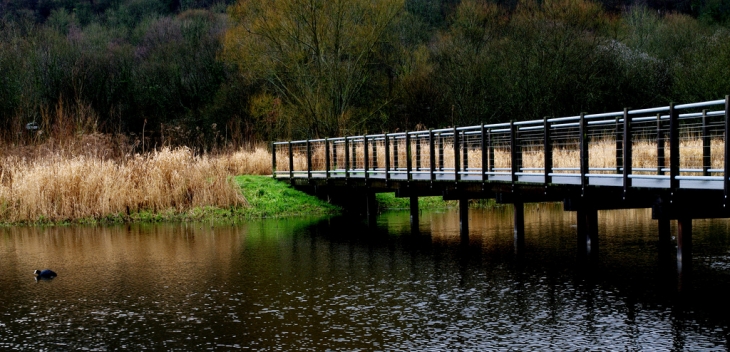 Water land - Lillebonne