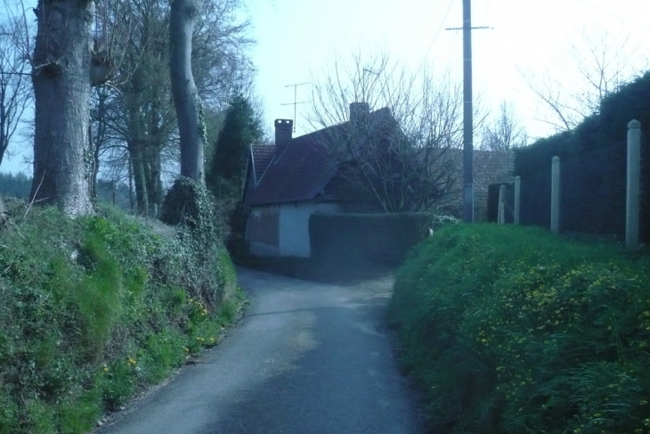 LE CHEMIN DE LA CAVE DE LINTOT LES BOIS - Lintot-les-Bois