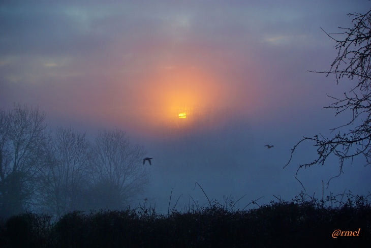 Lever de soleil et vol de canards - Roncherolles-en-Bray