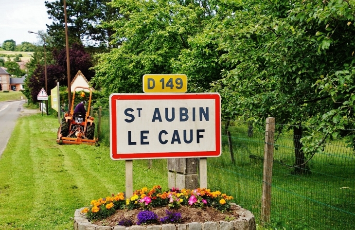 - Saint-Aubin-le-Cauf