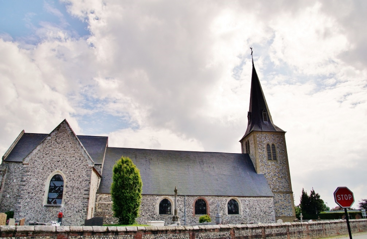  église Saint-Martin - Saint-Martin-en-Campagne