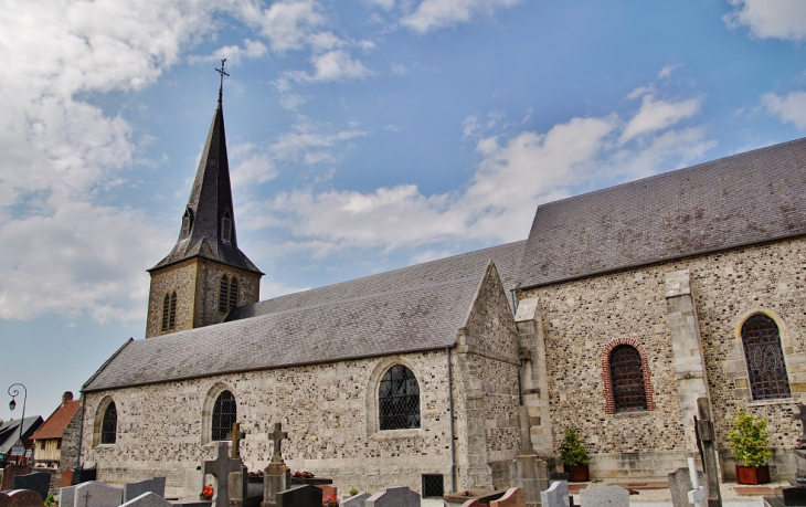  église Saint-Martin - Saint-Martin-en-Campagne