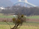 Plaine du Fayel et Pont de Brotonne