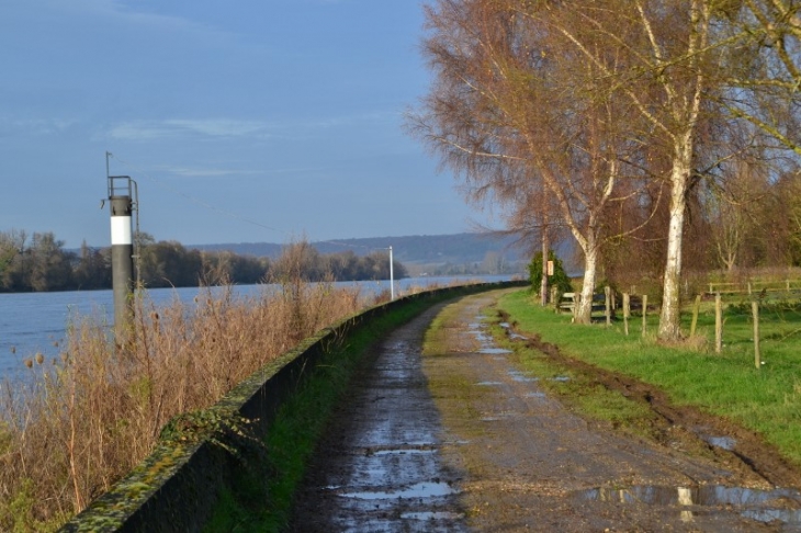 Le Marais. Le long de la Seine - Saint-Pierre-de-Manneville