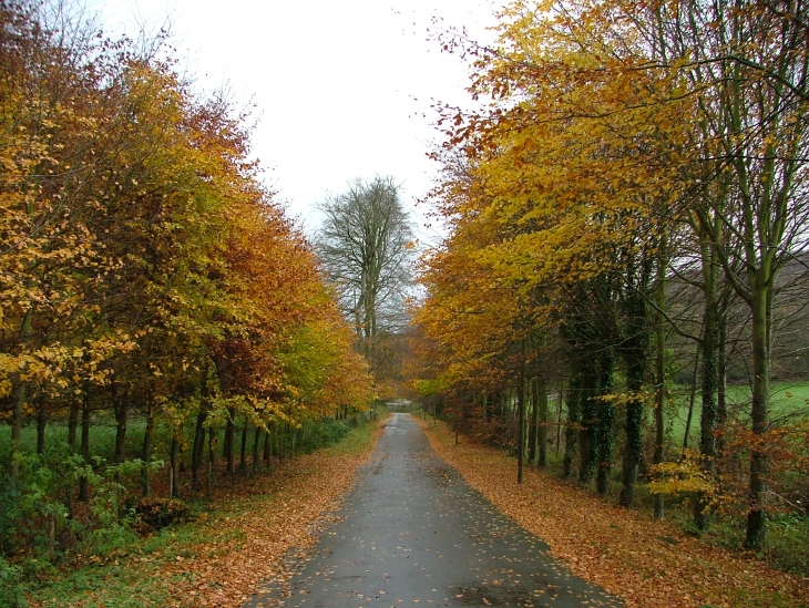 Paysage d'automne à Saint-Pierre-en-Port