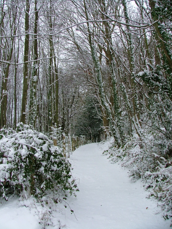 La sente aux matelots sous la neige ! - Saint-Pierre-en-Port