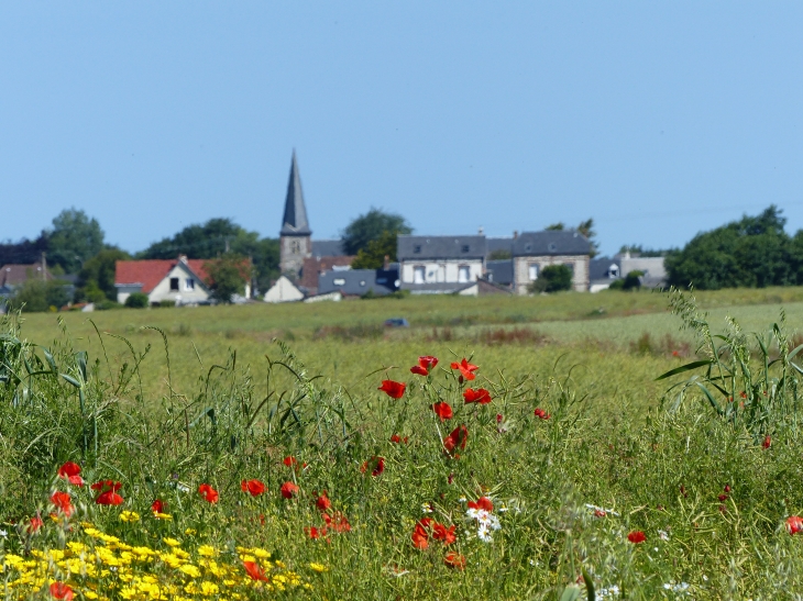 2014   1er jour de l'été - Saint-Pierre-en-Port