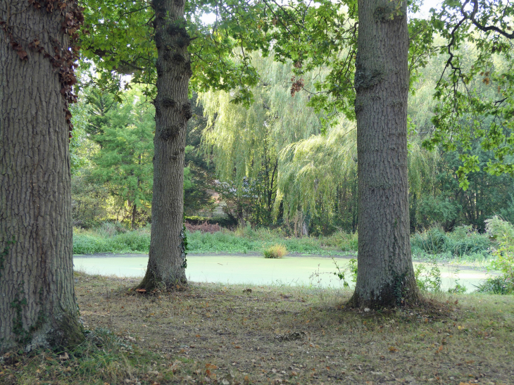 Le manoir d'Ando : le jardin Ouest - Varengeville-sur-Mer