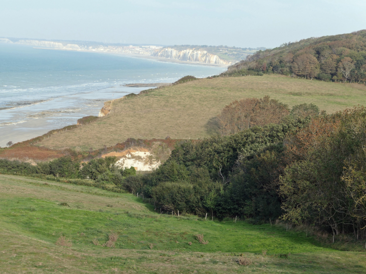 La côte d'albatre vue de l'église - Varengeville-sur-Mer