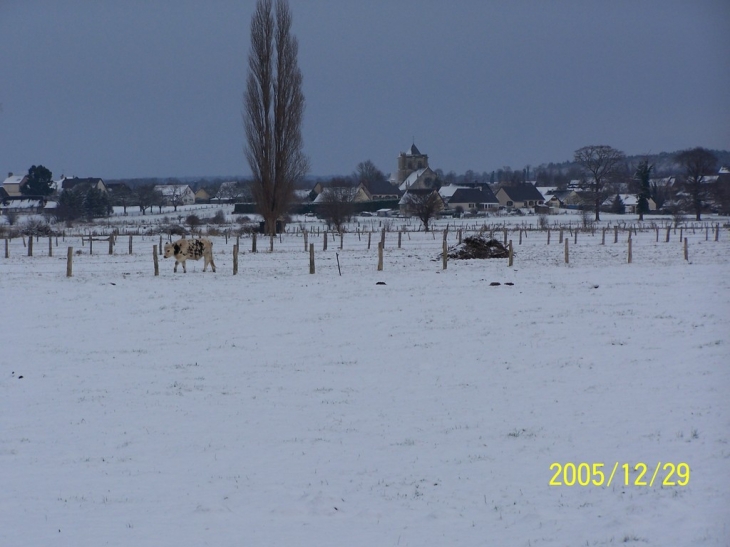 Vatteville-la-Rue (76940) : hiver 2005