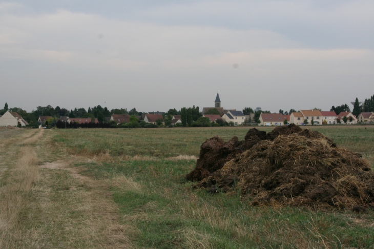 Depuis le chemin des Anes - Corbreuse