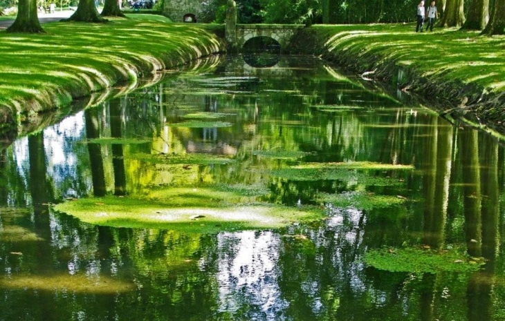 Courances:canal de la Foulerie.Photo:jmsatto.