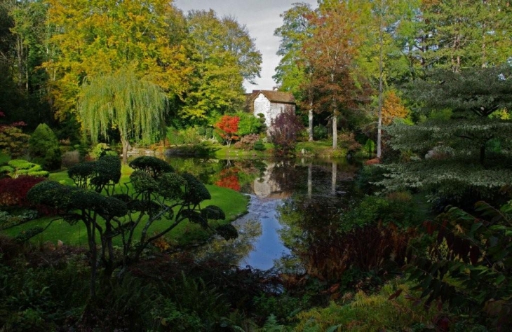 Courances:jardin japonais.Photo:jmsatto.