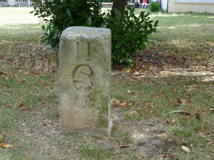 Dans le parc de la mairie - Épinay-sur-Orge