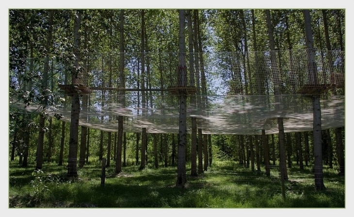 Parcours dans les arbres base de loisirs - Étampes