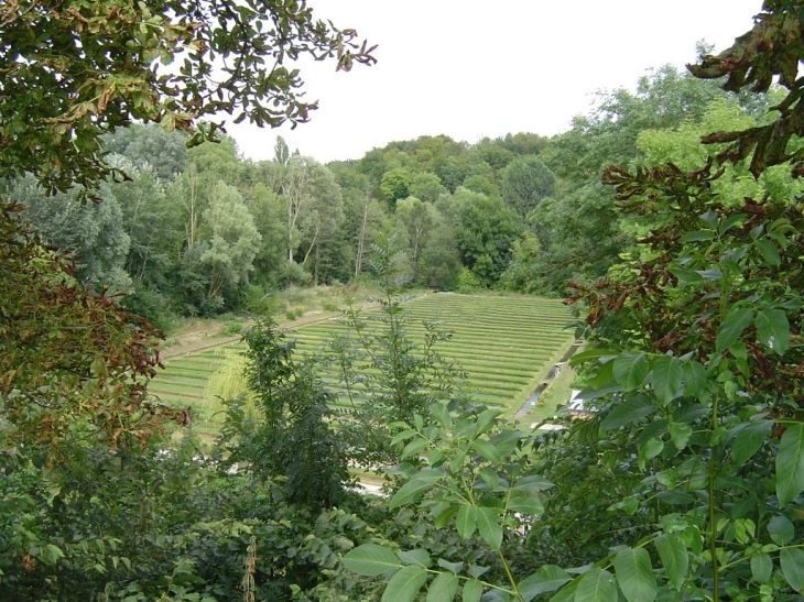 Cressonnière - Méréville