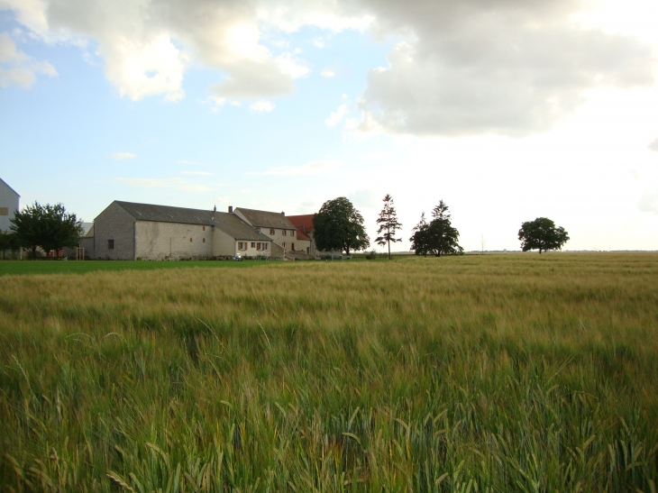 Ferme de Mennessard - Méréville