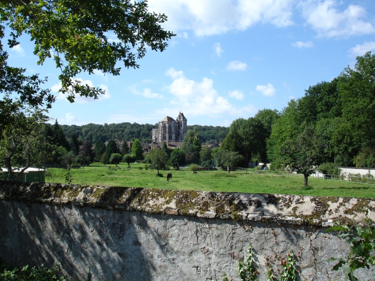 Un parc de Saint Sulpice de Favières - Saint-Sulpice-de-Favières