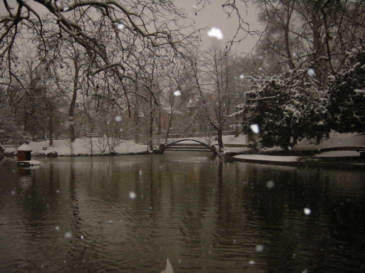 Lac deVerrières le buisson sous la neige - Verrières-le-Buisson