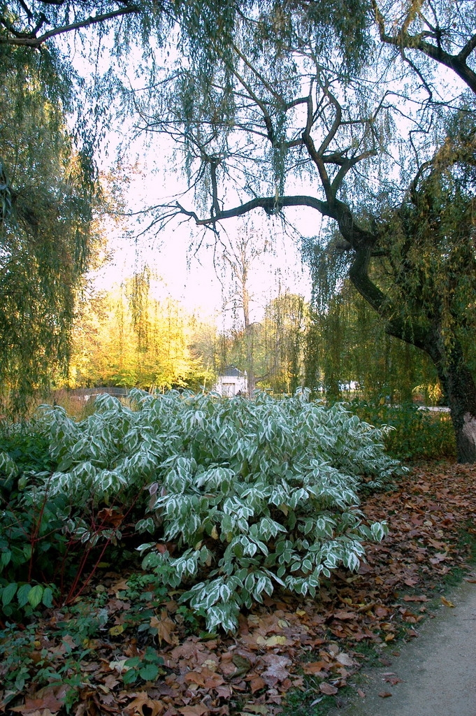 CAILLEBOTTE - Yerres